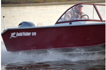 7 - Gold Fisher 520 DCM FISH 