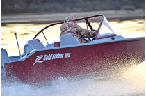 8 - Gold Fisher 520 DCM FISH 